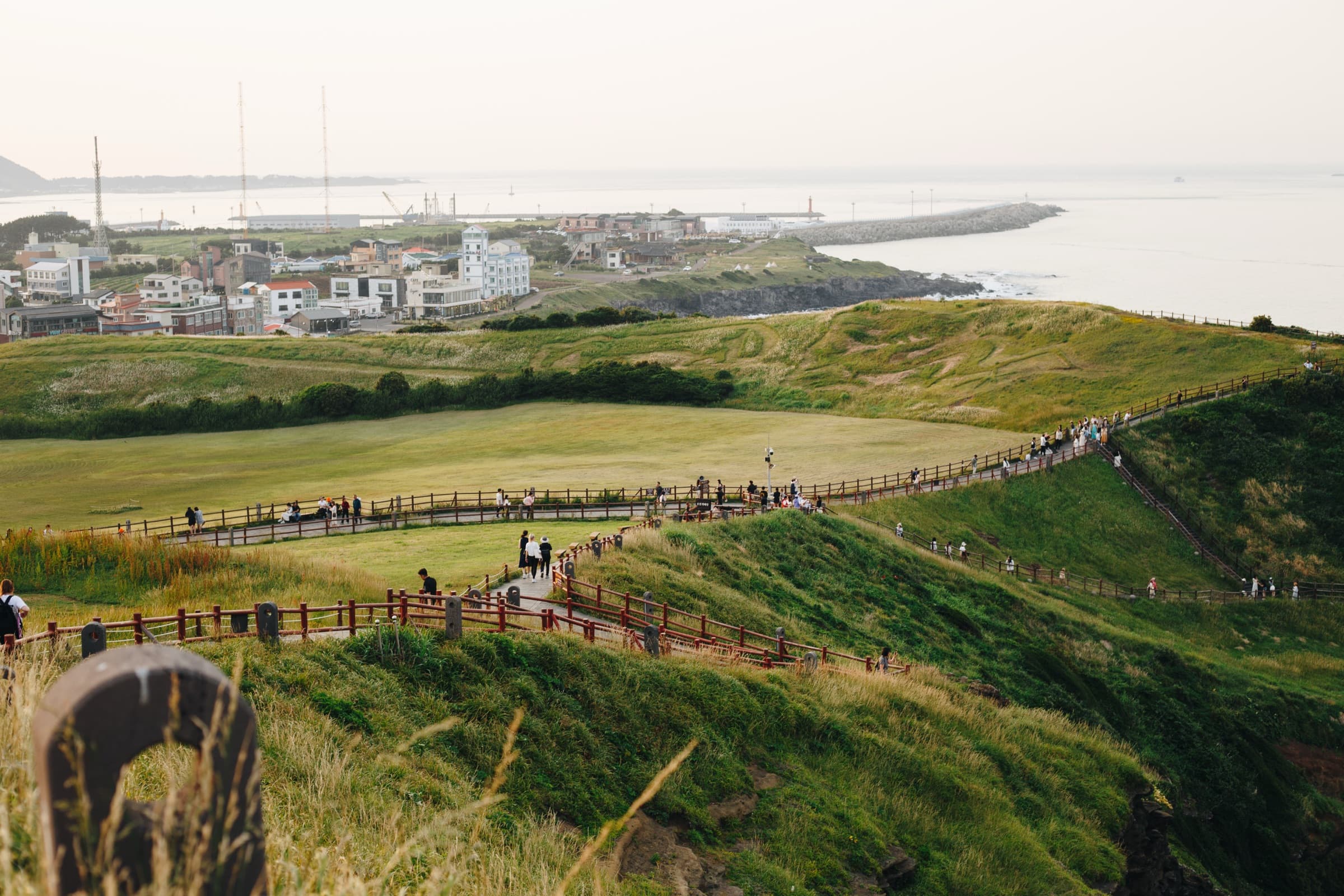 The green coast of Jeju, Korea